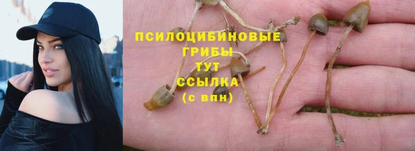 сатива Алексеевка