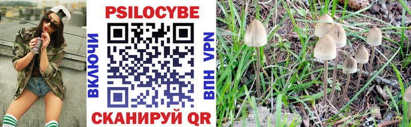 Псилоцибиновые грибы GOLDEN TEACHER  Пролетарск 
